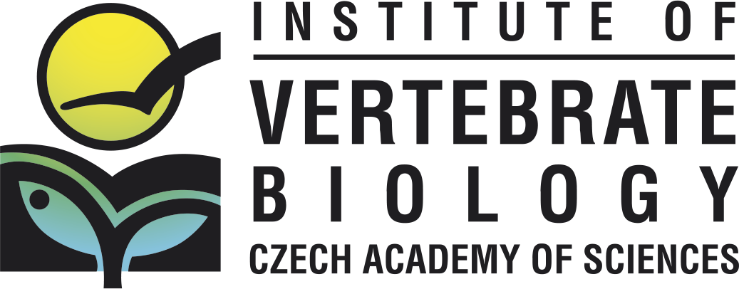 IVB-logo-en