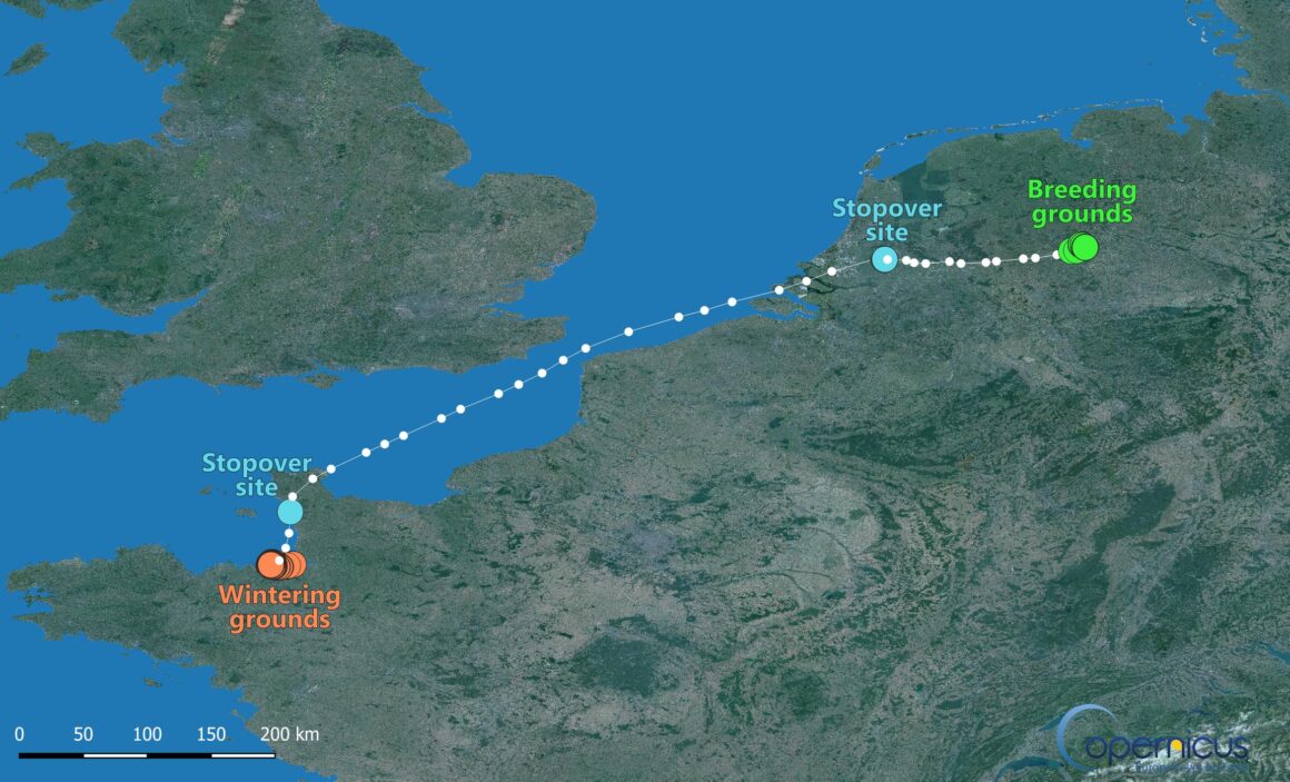 Sovellus GPS-seurantatietojen automatisoituun luokitteluun on nyt julkisesti saatavilla!