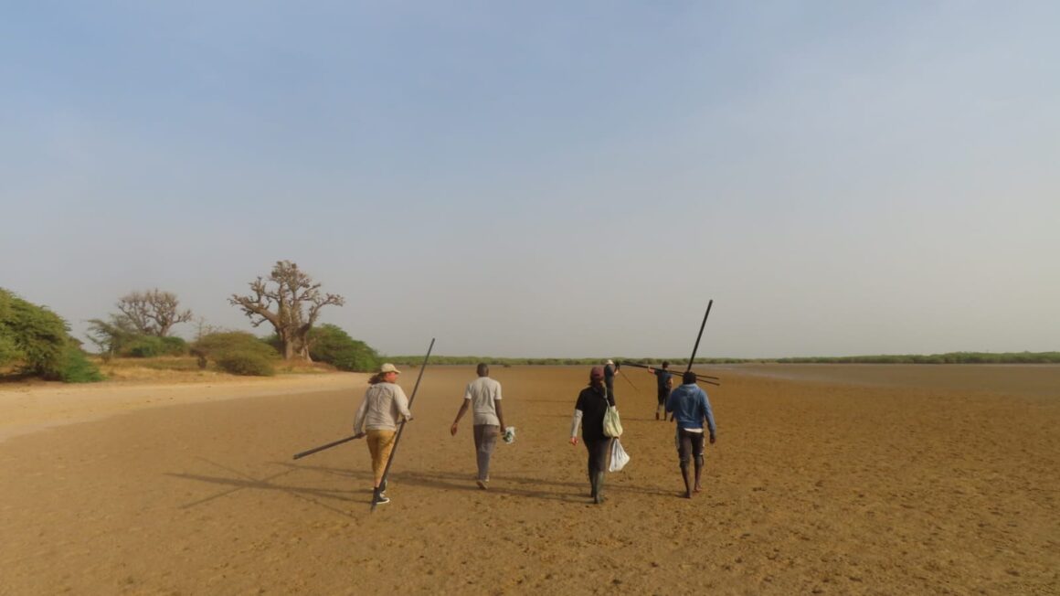 Winter fieldwork in Senegal
