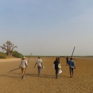 Winter fieldwork in Senegal