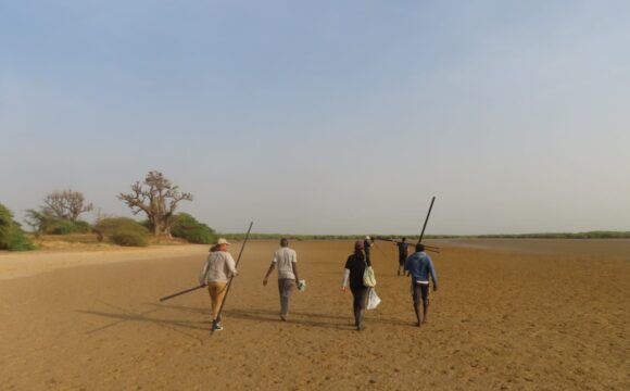 Winter fieldwork in Senegal