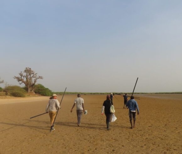 Winter fieldwork in Senegal
