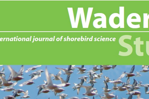 Publication des travaux de Master et de Doctorat d’HABITRACK dans Wader Study!