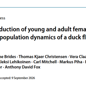 New publication on the demography of the wintering population of Wigeons