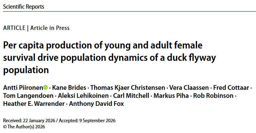 New publication on the demography of the wintering population of Wigeons New publication on the demography of the wintering population of Wigeons